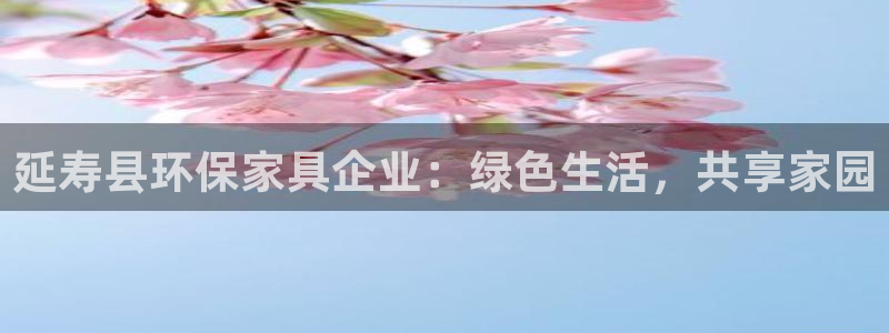 杏宇平台登陆官网：延寿县环保家具企业：绿色生活，共享家园