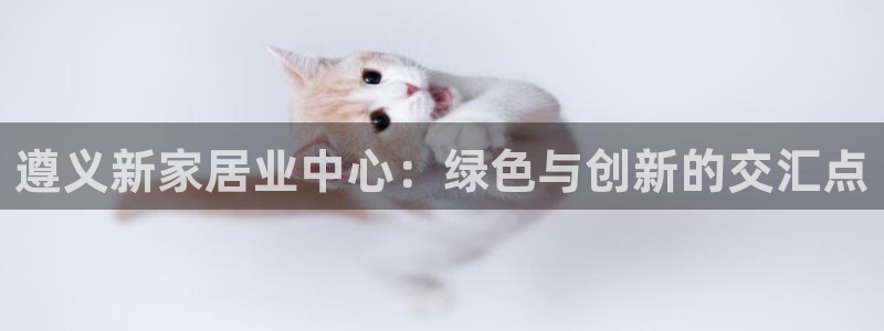 杏宇平台怎么样?：遵义新家居业中心：绿色与创新的交汇点