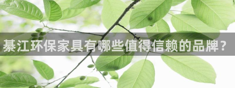 杏宇如何注册：綦江环保家具有哪些值得信赖的品牌？