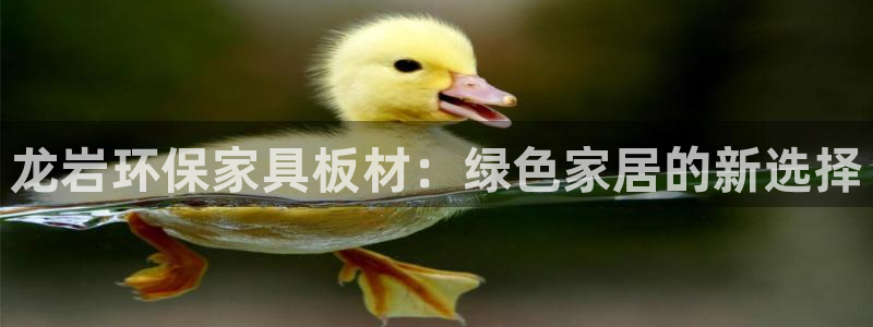 杏宇平台登录入口：龙岩环保家具板材：绿色家居的新选择