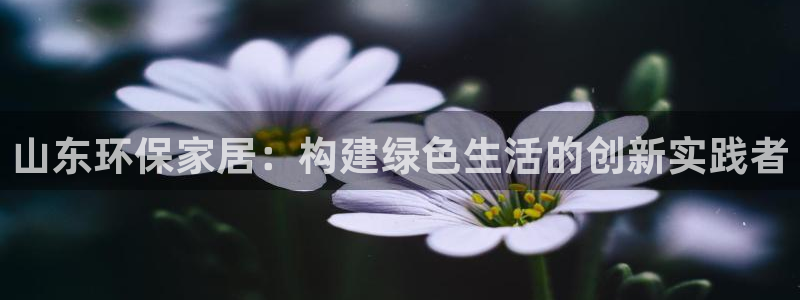 杏宇平台分红