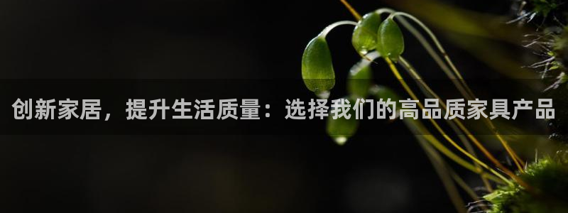 杏宇平台登录地址：创新家居，提升生活质量：选择我们的高品质家