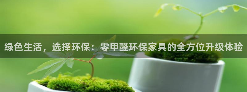 杏宇平台几年了