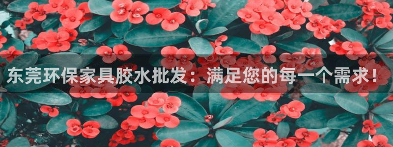 杏宇测速网址电脑版