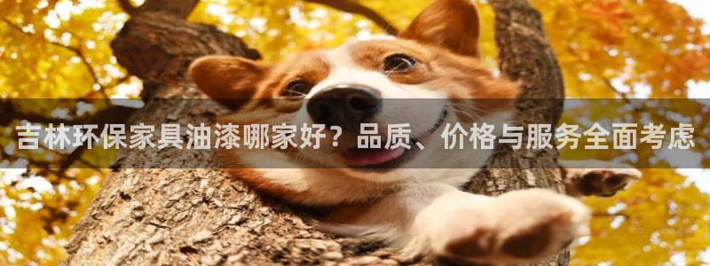 杏宇线路5检测：吉林环保家具油漆哪家好？品质、价格与服务全面