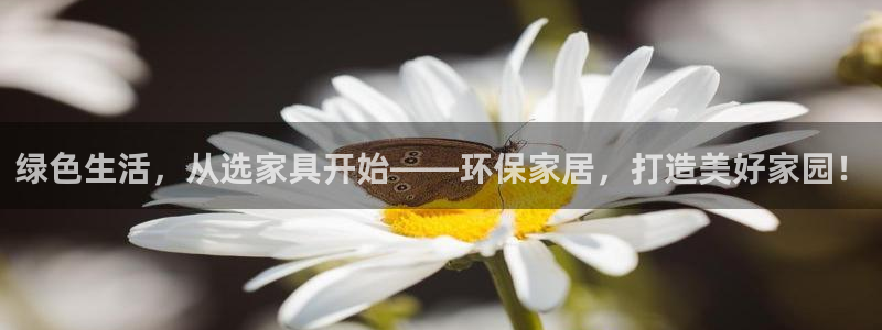 杏宇平台娱乐