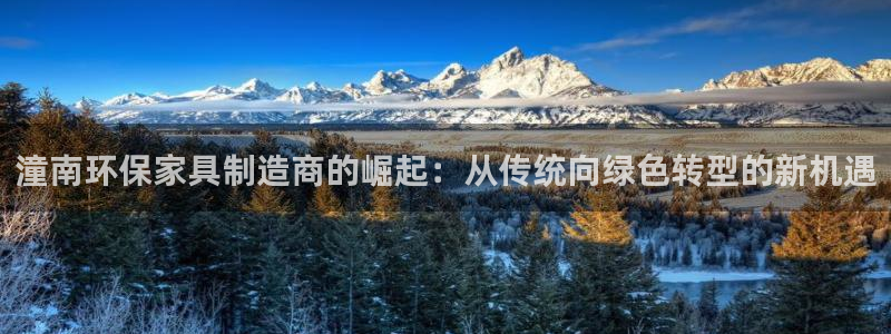 杏宇平台官网登录：潼南环保家具制造商的崛起：从传统向绿色转型