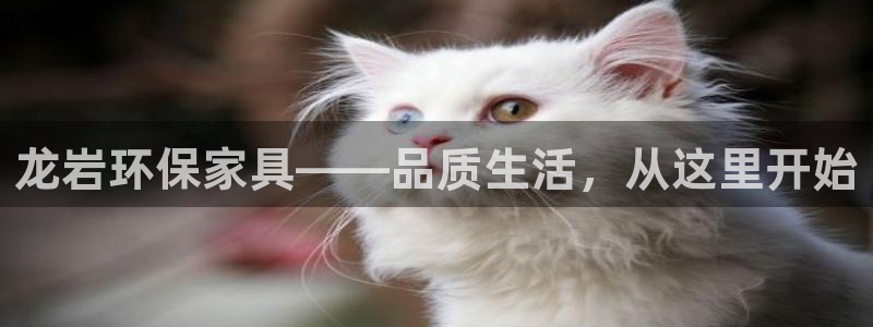 杏宇平台登录网址是什么：龙岩环保家具——品质生活，从这里开始