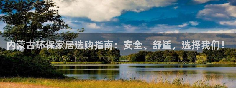 杏宇平台登录网站：内蒙古环保家居选购指南：安全、舒适，选择我