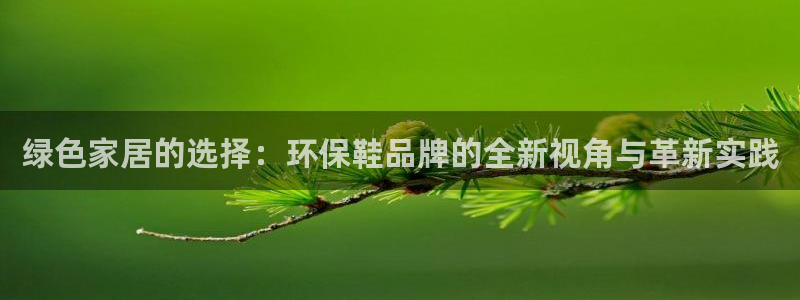 杏宇平台线路测速：绿色家居的选择：环保鞋品牌的全新视角与革新